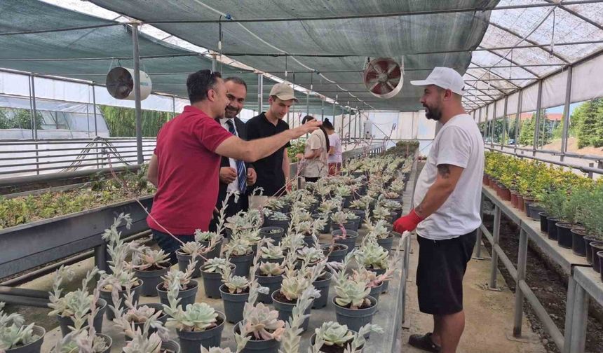 Doğal afetlere akıllı sera ile çözüm