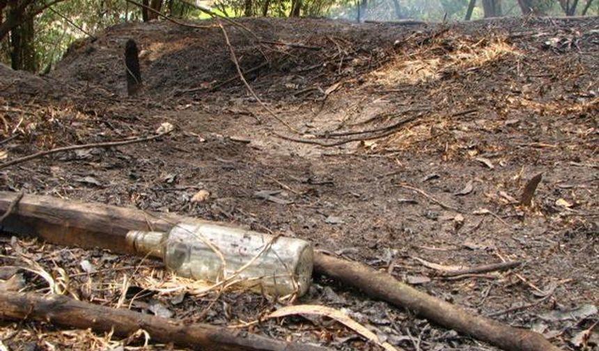 İspanya 14 farklı noktada orman yangını: 7 ölü