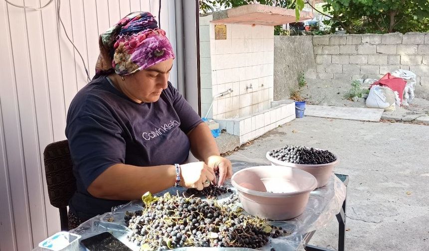 Devrek’te üretilen aronya meyve suyu büyük ilgi görüyor