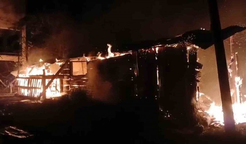 Giresun’da yangında 1 ton fındık kül oldu