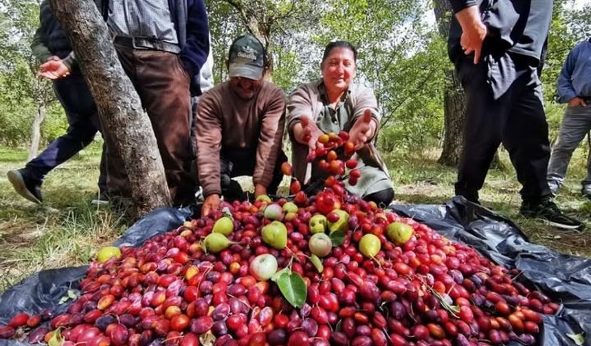 3.Çıldır Cancur Festivali Yapıldı