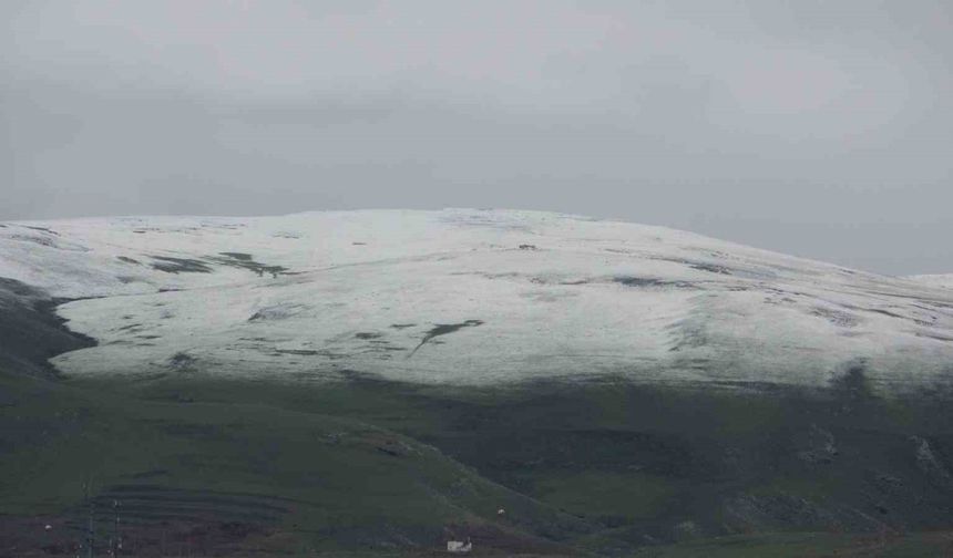 Ardahan’da yüksek kesimler beyaza büründü