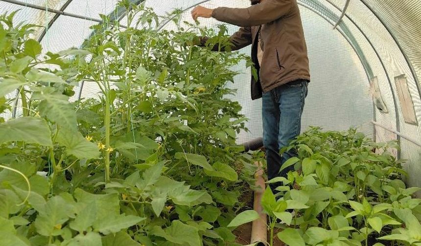 Berberlikten arta kalan zamanını doğaya ayırıyor