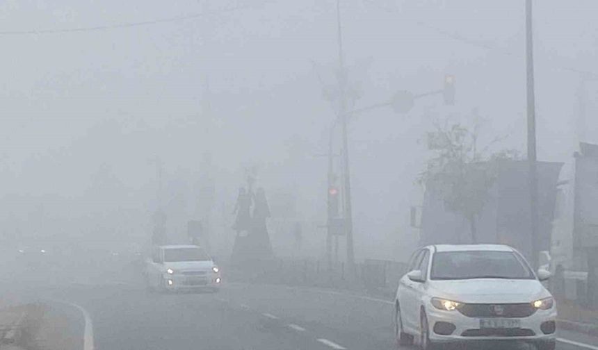 Iğdır’da yoğun sis etkili oldu