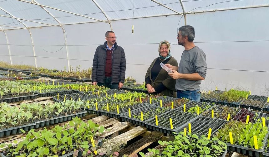 Kadın çiftçiler üretime güç katıyor