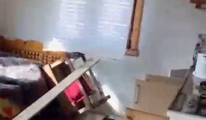 Rize yaylalarında ayı paniği: 20 ev talan edildi