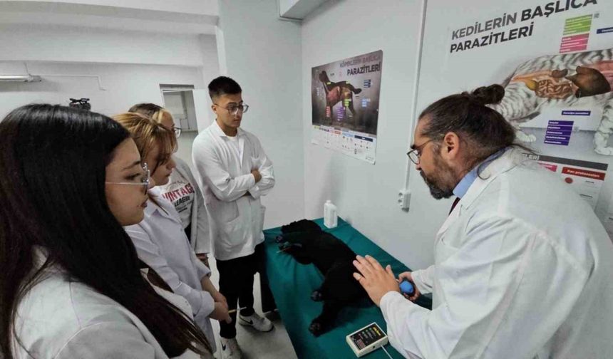Türkiye’de bir ilk: Meslek yüksekokulunda veteriner sağlık eğitimi simülatörlerle veriliyor