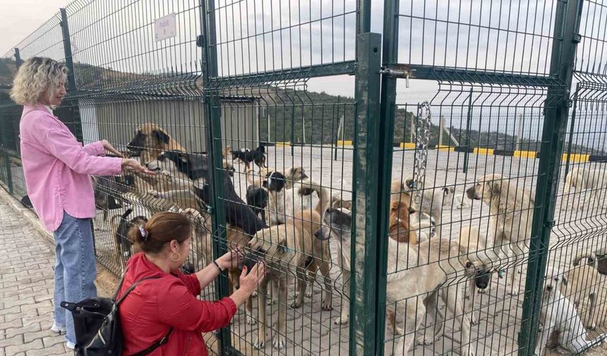 Alaşehir’de 30 dönümlük doğal yaşam alanı açıldı