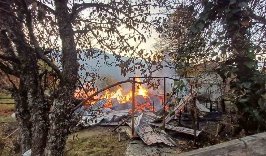 Alevlere teslim olan ahşap evdeki 5 kişi dumandan etkilendi