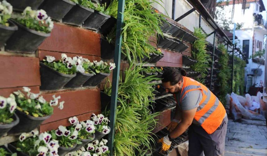 Antalya’da 4 milyon çiçek toprakla buluşuyor