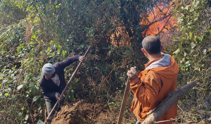 Artvin Hopa’da 5 hektarlık alanı küle çeviren yangınla mücadele sürüyor