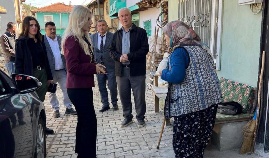 Bayan Kaymakam köy köy dolaşıyor
