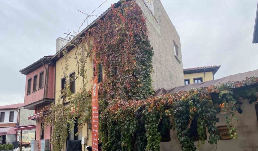 Bitkiler ile kaplanan tarihi yapı kartpostallık manzara oluşturuyor