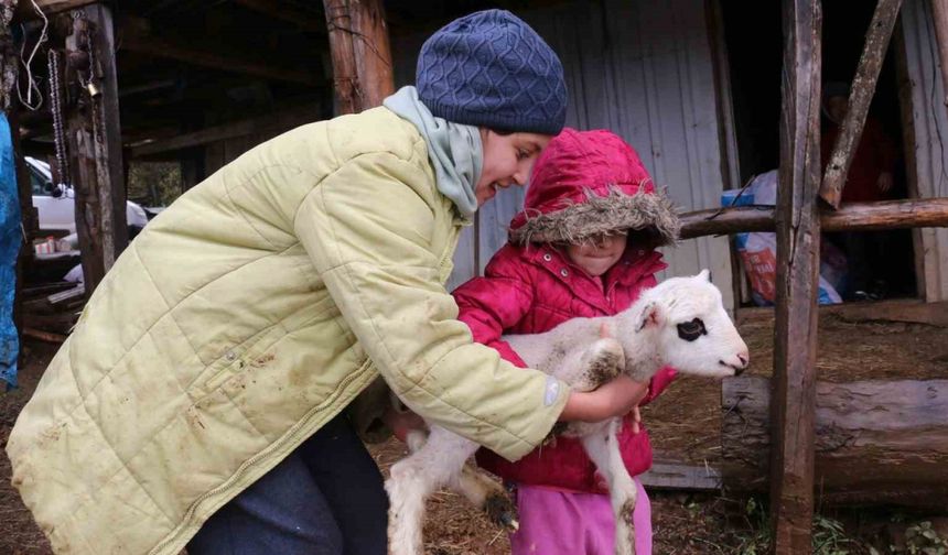 Bolu’da yaylalardan köylere göç başladı