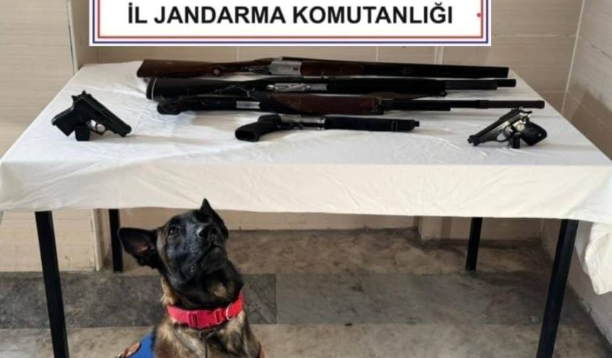 Düğün ve eğlencelerde havaya ateş açan 3 şahıs yakalandı