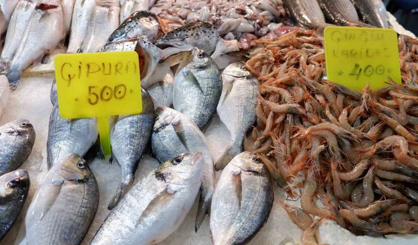 Foça Balık Hali’nde kış sezonu:"Sardalya ve uskumru zamanı"