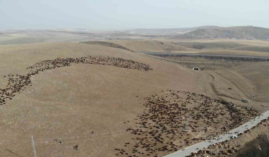 Kars’ta göçerlerin zoru yolculuğu başladı