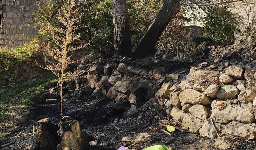 Bahçe temizliği facia ile sonuçlandı