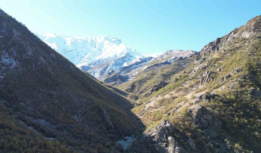 Şırnak’ta 3 bin rakımlı karlı dağlar mest etti