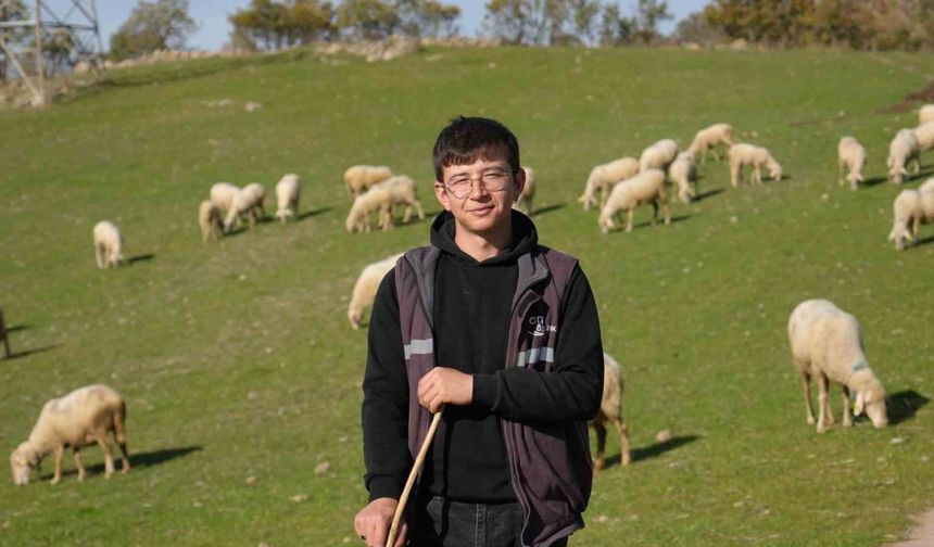 Üniversiteyi okudu, baba ocağına dönüp sürü sahibi oldu