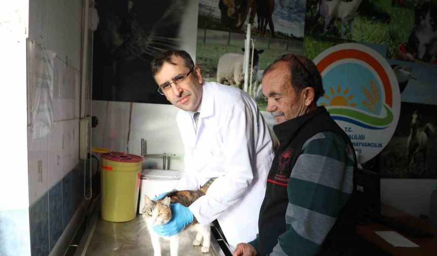 Uşak’ta kedi ve köpek sahiplerine mikroçip uyarısı