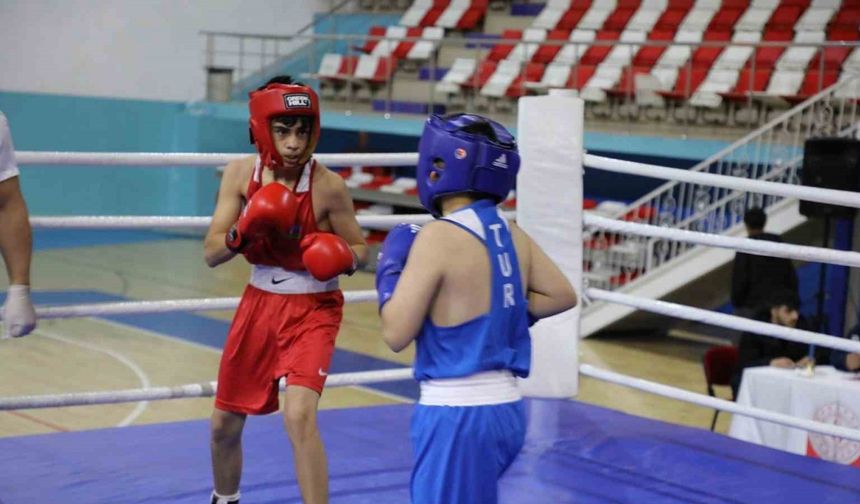 Ağrı’da Türkiye-İran-Nahçıvan Boks Dostluk Turnuvası nefes kesti