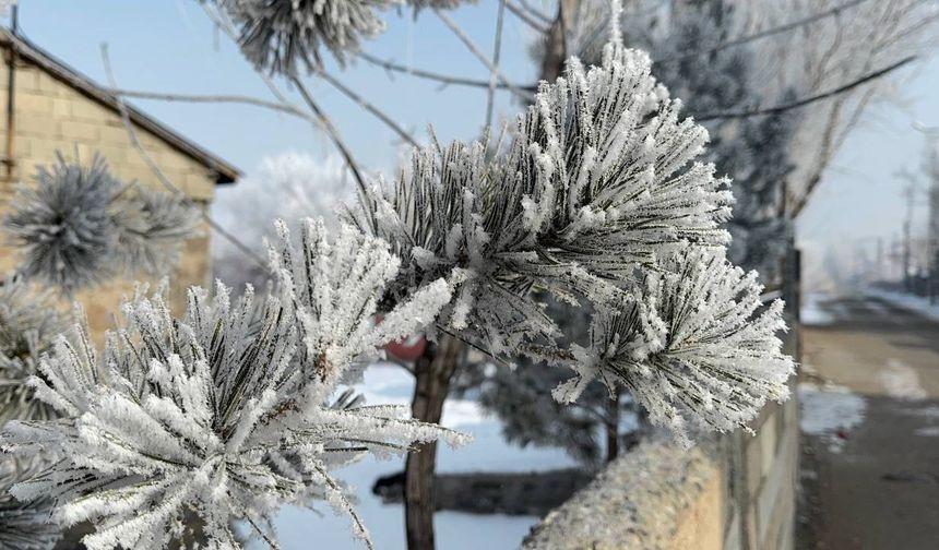 Araçlarını soğuktan korumak için battaniyelerle örtüyorlar