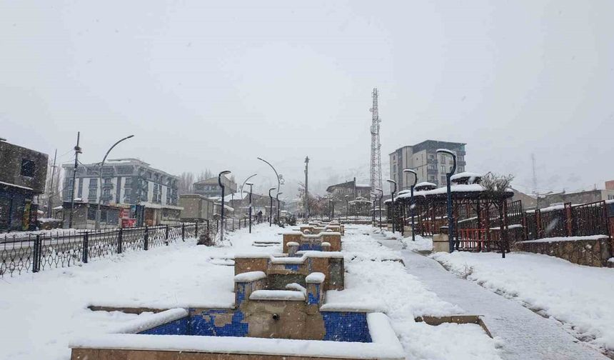 Başkale’de kar kalınlığı 20 santimetreyi geçti