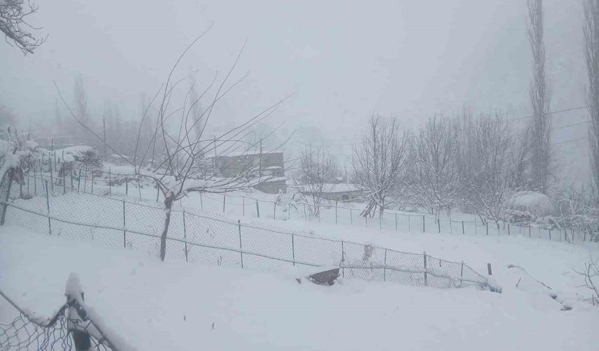 Batman'da kar esareti: 300'ün üzerinde köy ve mezra yolu kapandı