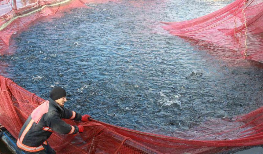 Bozkırın ortasında yetişti, Rusya ve Japonya yolcusu oldu