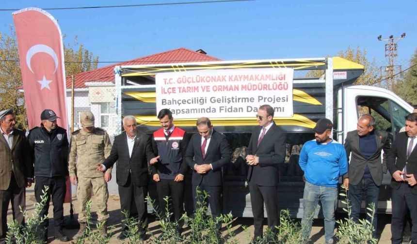 Çiftçilere 4 bin zeytin fidanı dağıtıldı