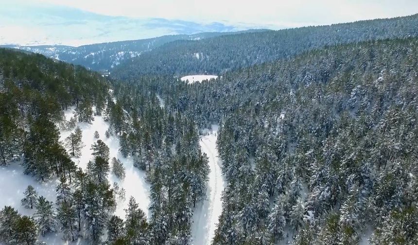 Erzincan’ın doğa harikası Dumanlı beyaza büründü