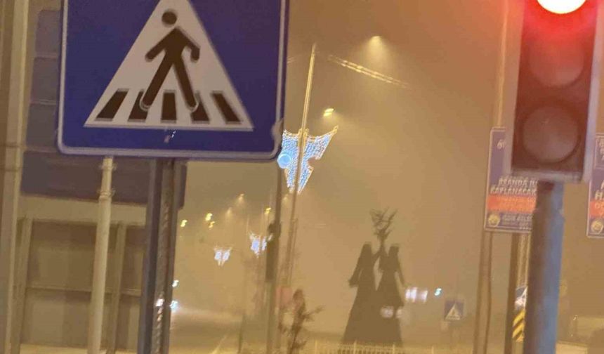 Iğdır’da gece saatlerinde yoğun sis etkili oldu