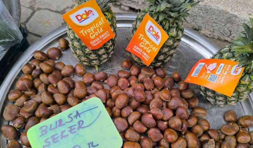 Kestane fiyatıyla yüzleri güldürdü