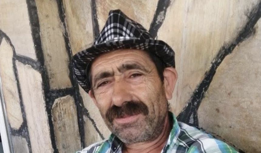 Komşusuna ağaç kesiminde yardım ederken hayatını kaybetti