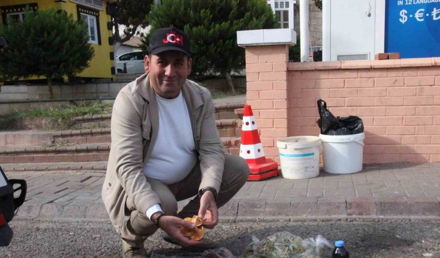 Lezzeti cezbediyor, toplaması dikkat istiyor