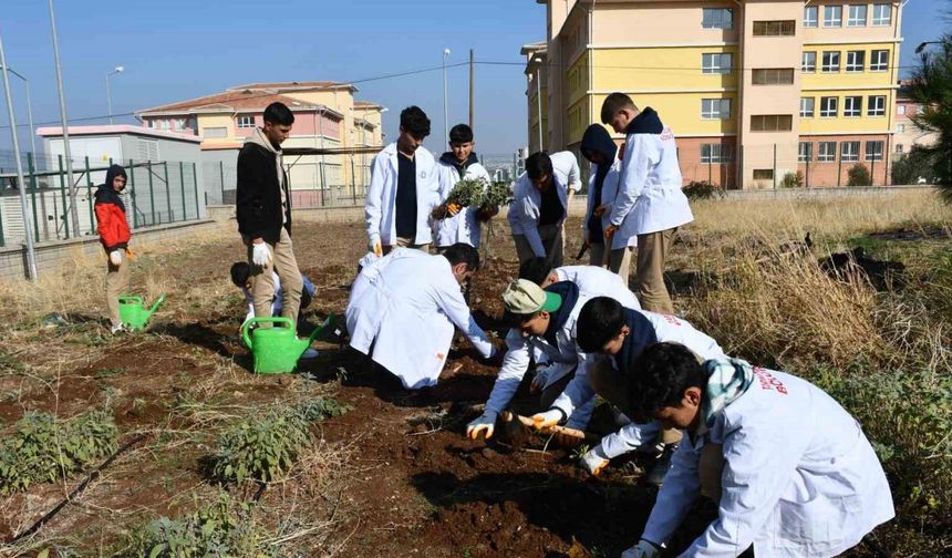 Öğrencilere ’tohumdan sofraya’ tarım eğitimi