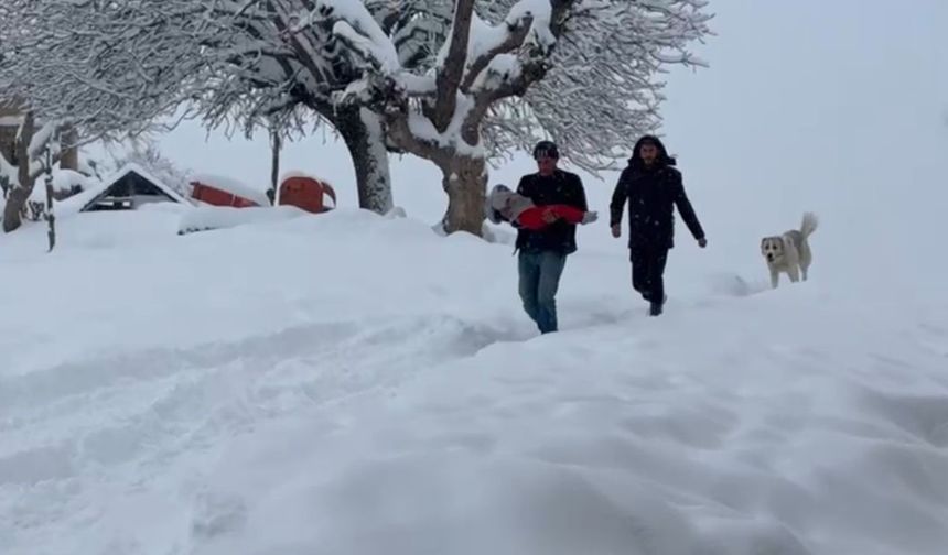 Siirt'te buzlanma ve don uyarısı