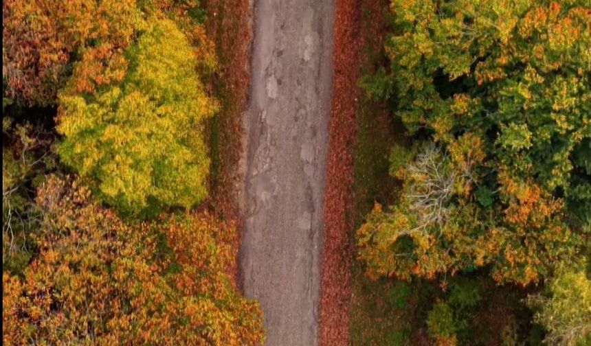 Sinop’ta sonbahar güzelliği