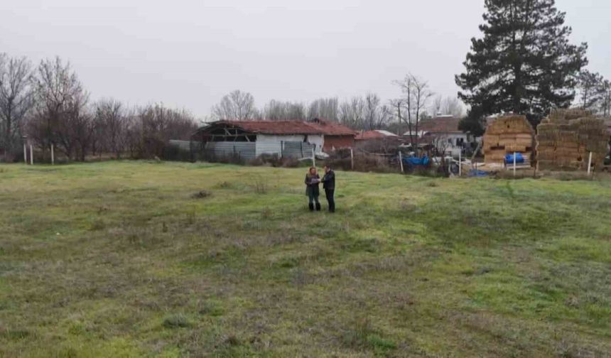 Türkiye'nin en eski kadastro davası 75 yıl sonra sonuçlandı