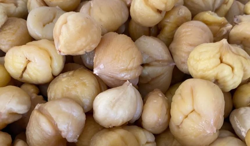 Türkiye’nin yüzde 33’ünü karşılayan Aydın Kestanesi, ihracata hazırlanıyor