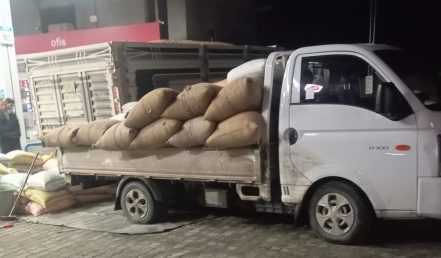 Yılbaşına günler kala fındık fiyatları yükselişe geçti