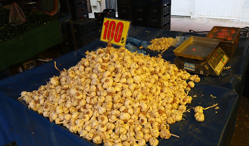 Sarımsağın kilosu markette 200 TL, pazarda 100 TL!