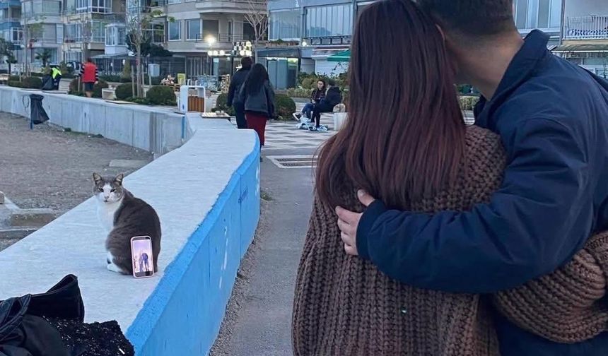 Bursa sahilinde ilginç fotoğraf çözümü: Tripod yerine kedi kullandılar