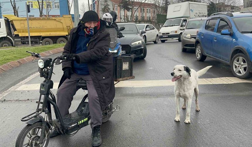 Çarşı pazar peşinden ayrılmıyor