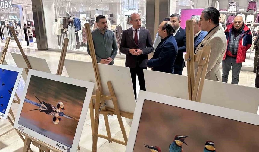 'Gaziantep'in Kuşları' sergisi açıldı