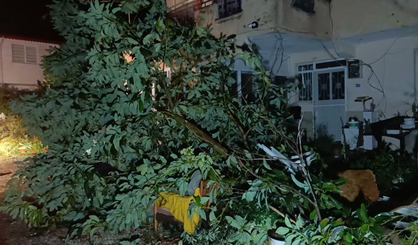 Hortum Manavgat'ı savaş alanına çevirdi