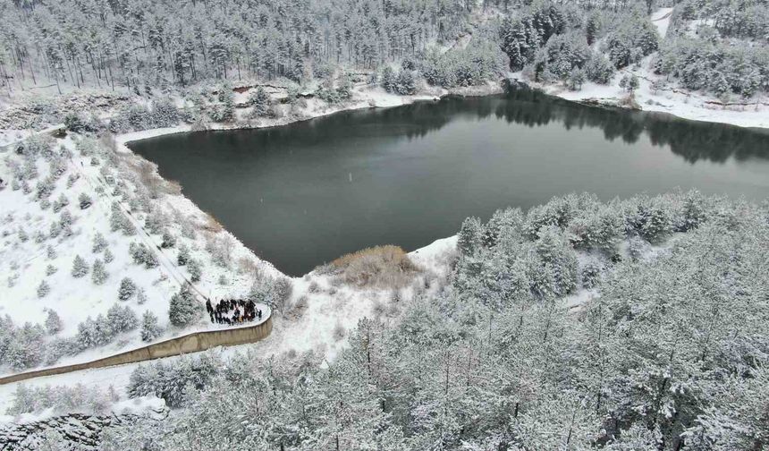 Karla kaplı orman içerisindeki gölet, kış manzarasıyla mest ediyor