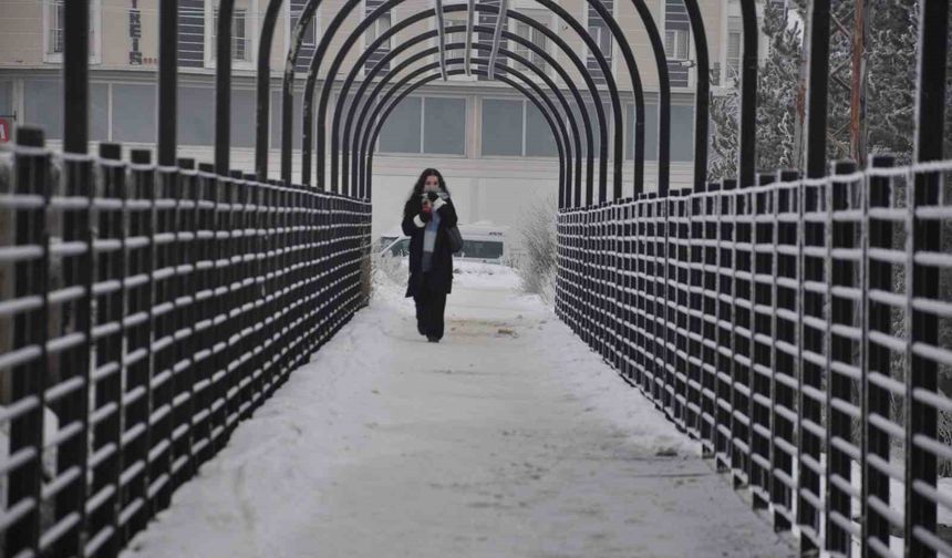 Kars'ta soğuktan ağaçlar kırağı tuttu