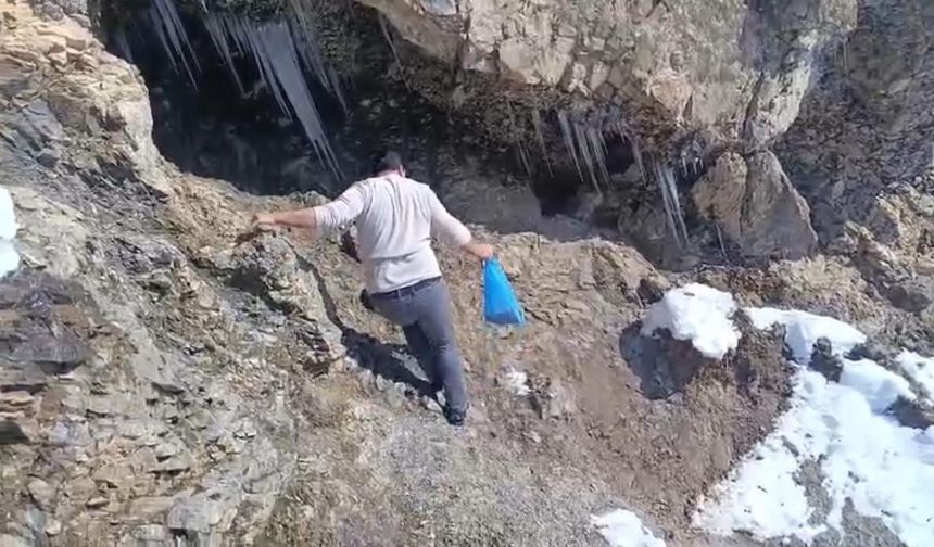 Keklikler için doğaya yem bıraktılar